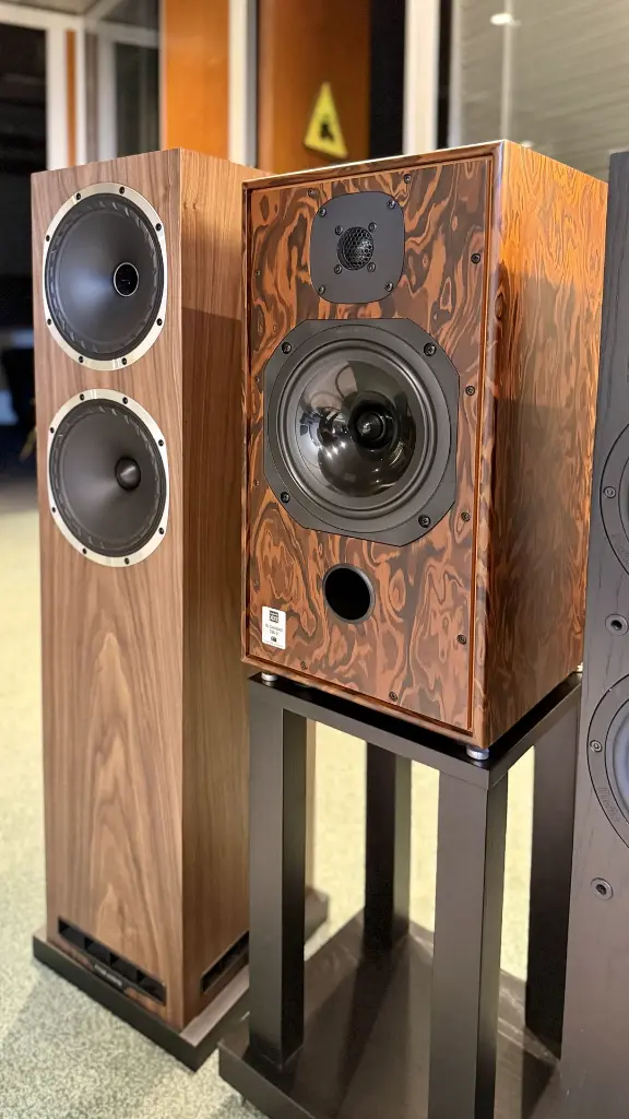 Walnut Burr