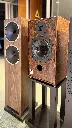 Walnut Burr